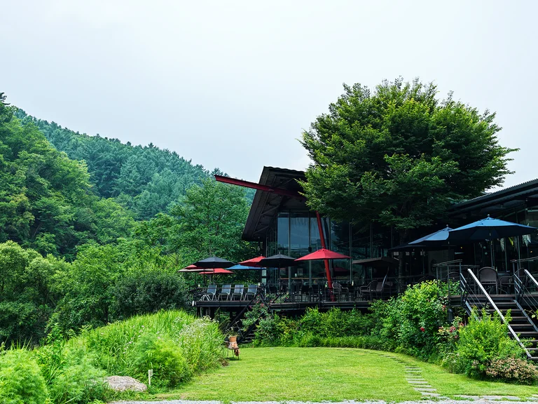 엔로제