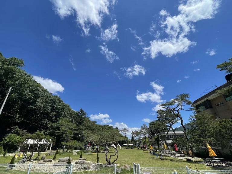 디그르르