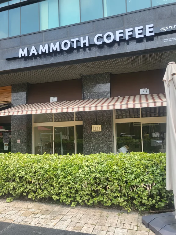 매머드익스프레스 서울숲아이코닉점