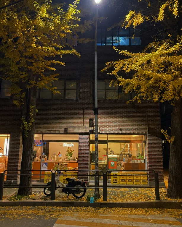 메쉬커피