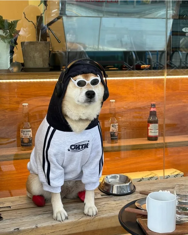 스테포스트
