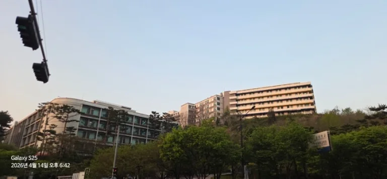 하트 츄러스