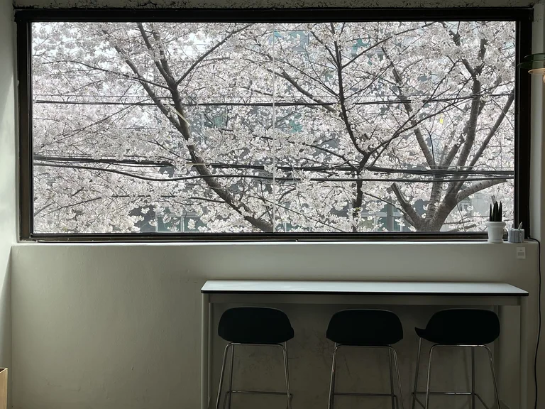 카페 녹 NOC 카페 사진