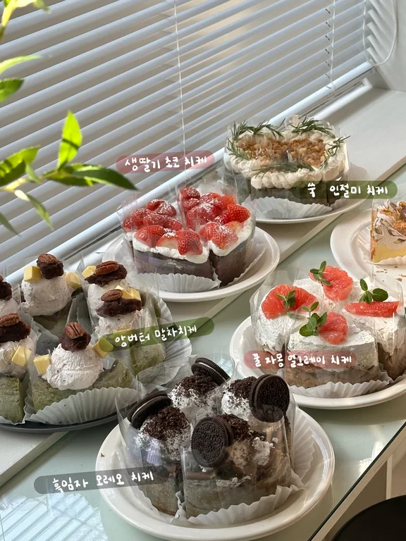 마그넷케이크룸