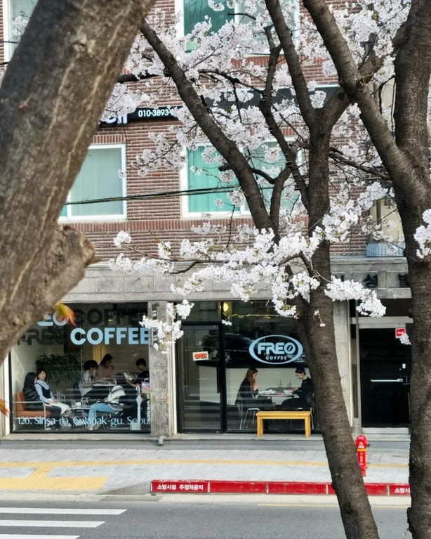 프레오커피