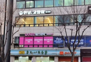 안녕 고양이