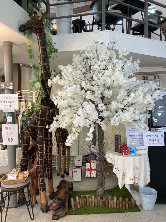 아프리코