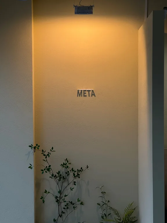 메타