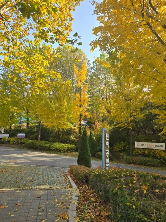 뜨락