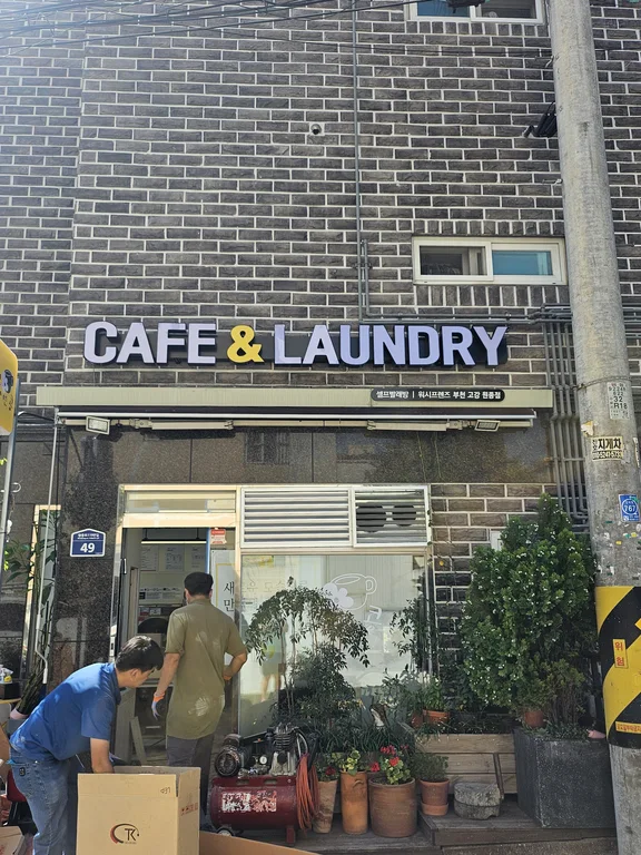 꽃앤콩