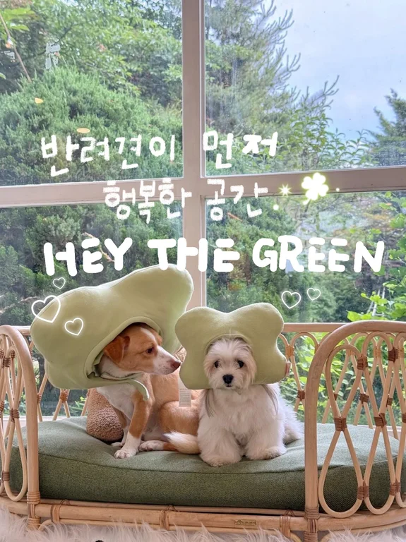 헤이더그린