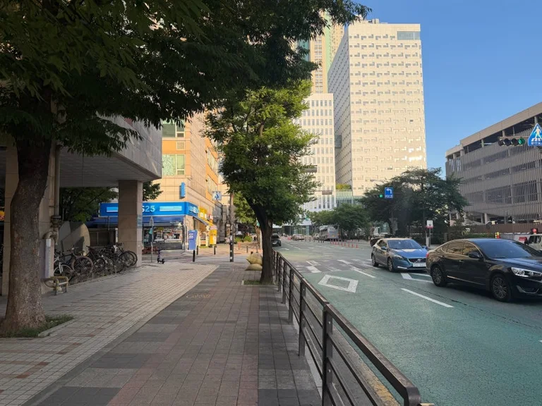 리베흐