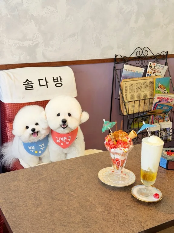 솔다방