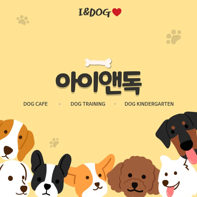 아이앤독