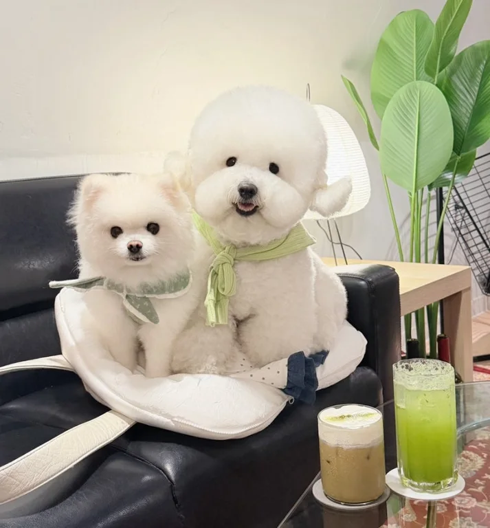 브륄레하우스