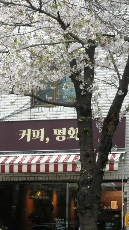 커피평화