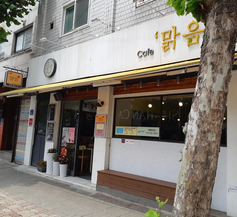 카페 맑음