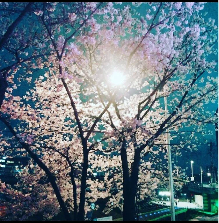 꽃길