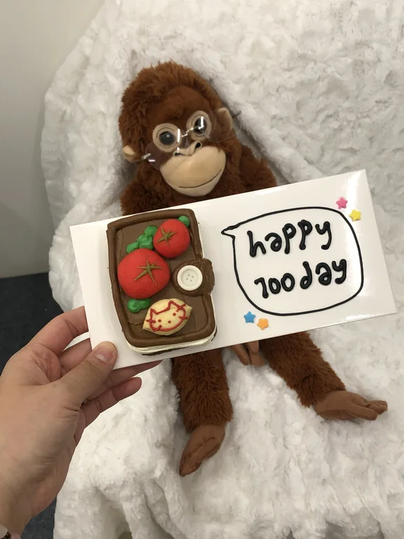 유어데이
