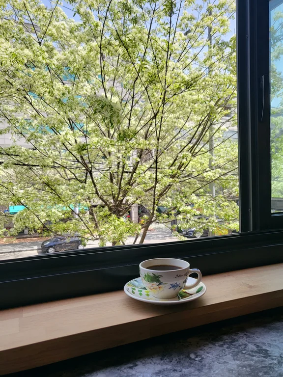 카페프라간시아