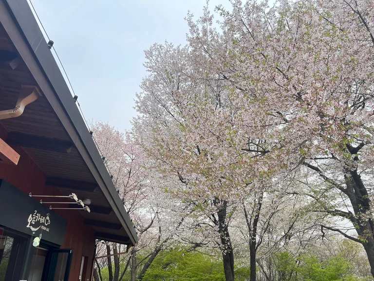 오름카페