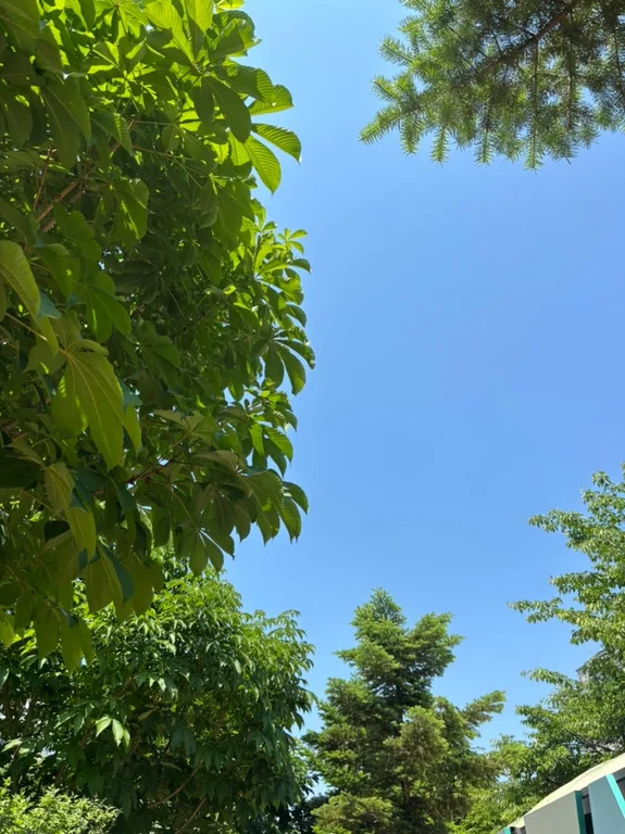 리유
