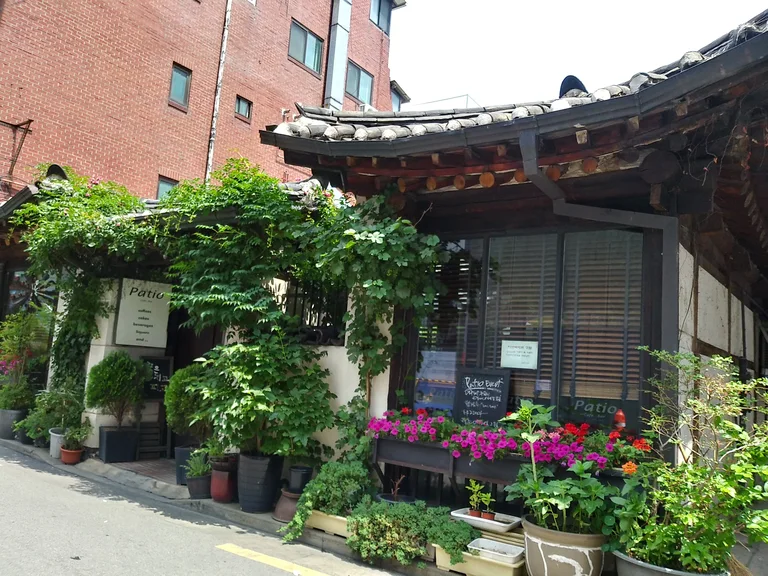 파티오