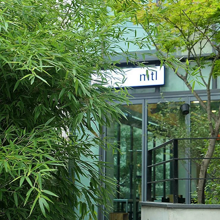 mtl 효창