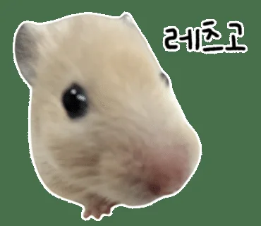 스탠딩밀푀유