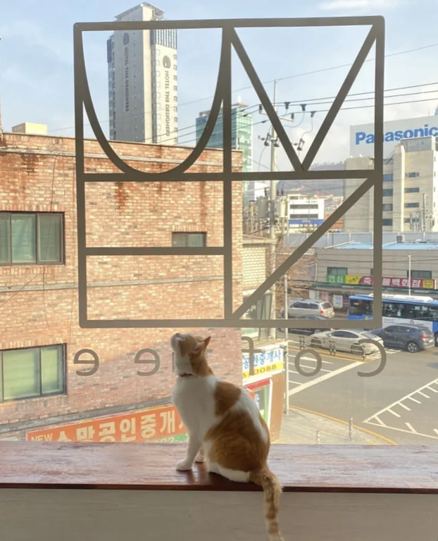 카페무네