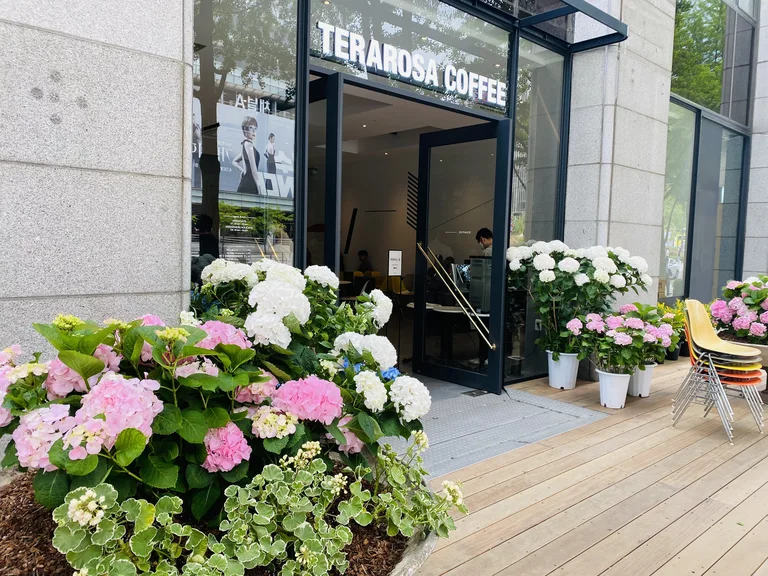 테라로사 청계광장점