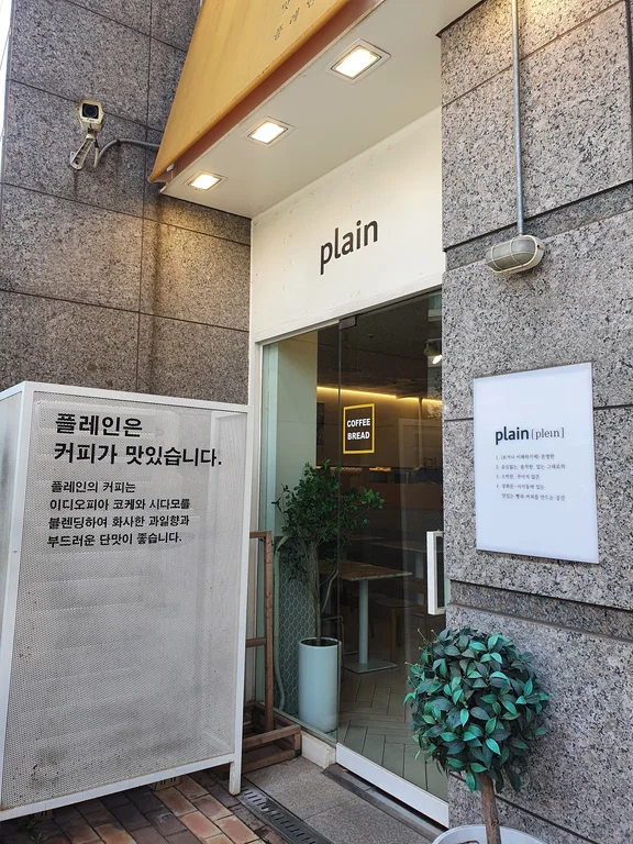 플레인