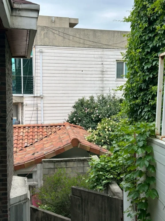 로즈스튜디오