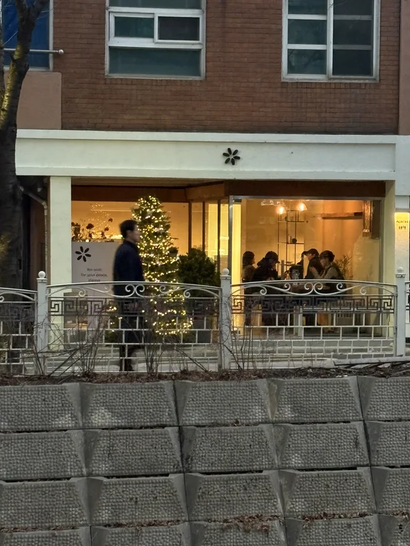 아카시아스