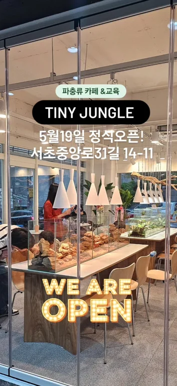 타이니정글