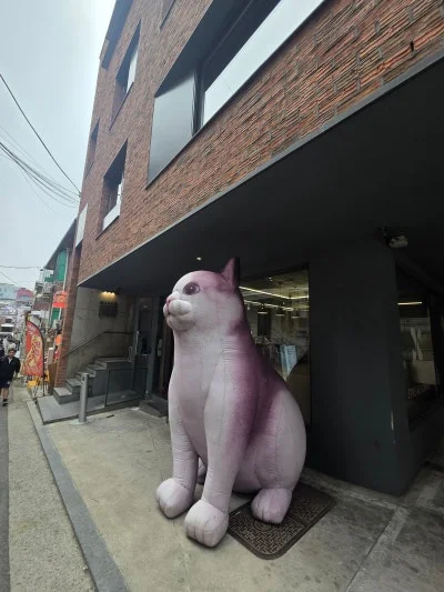 한남동카페거리 카페 사진