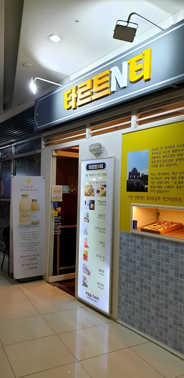타르트N티