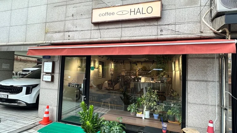 커피헤일로