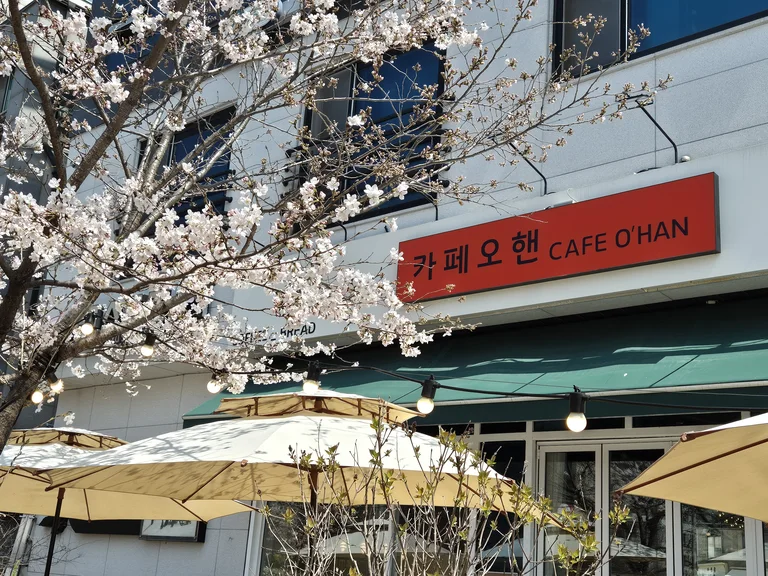 카페오핸