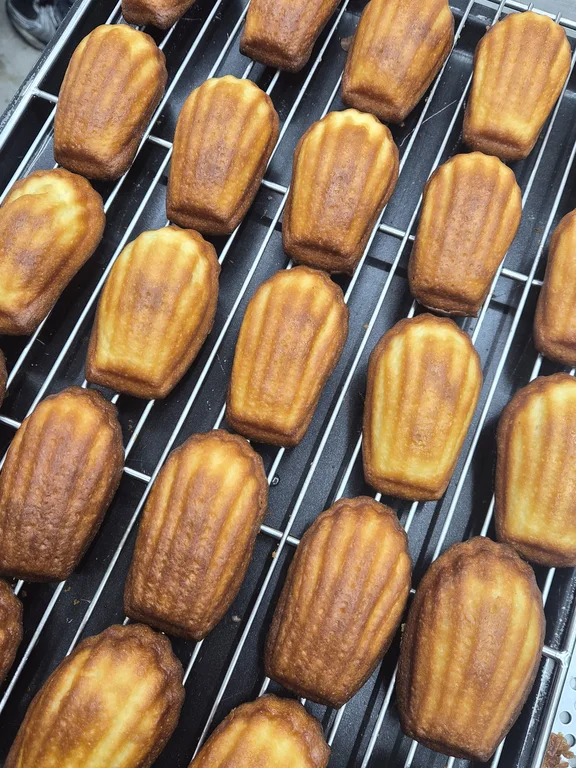 파이브