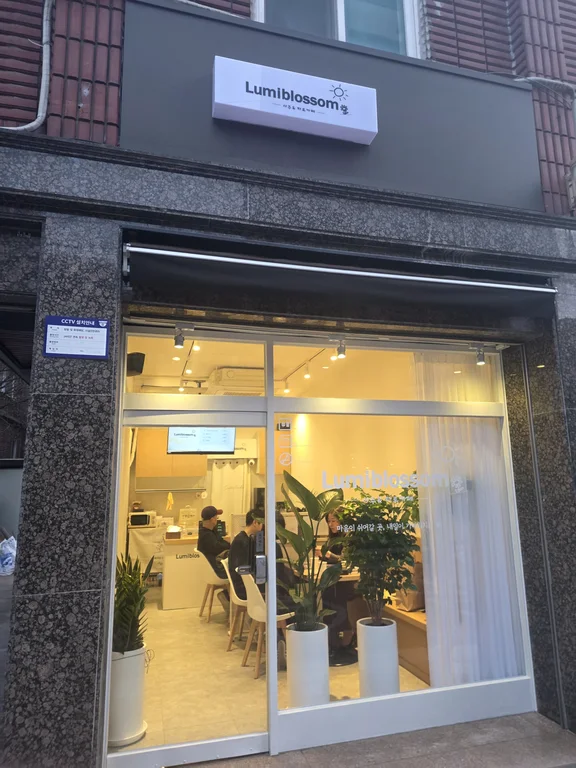 루미블라썸