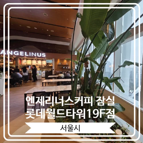 엔제리너스커피 잠실롯데월드타워19F점