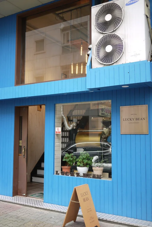 럭키빈