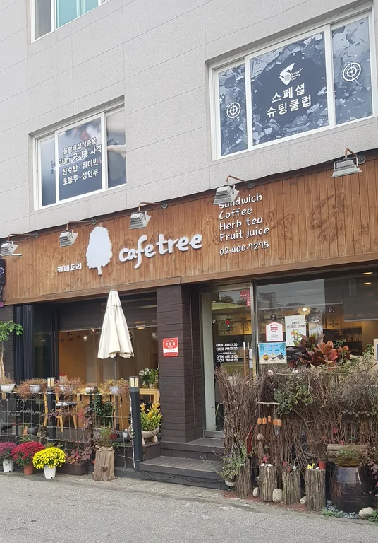 카페트리