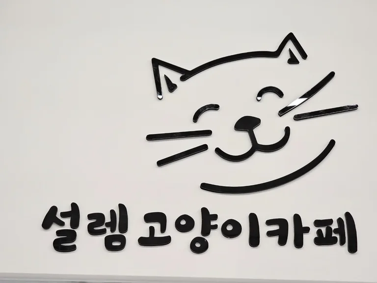 설렘고양이카페
