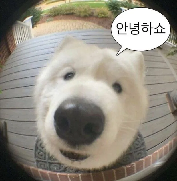 꿉,QOOP