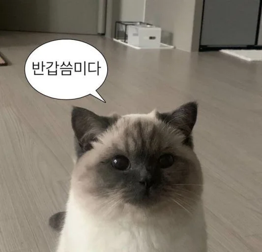 카페 발밤
