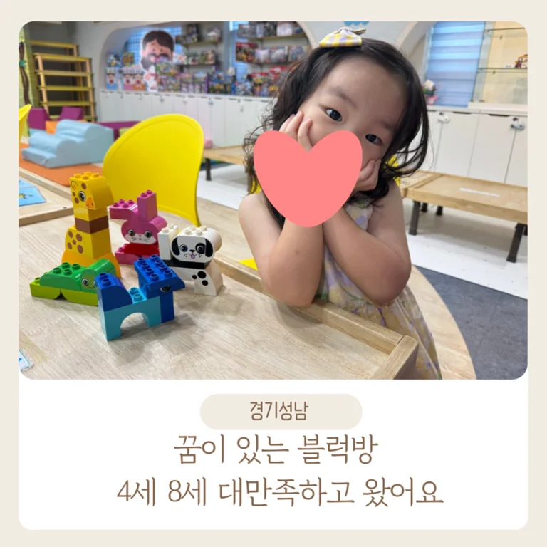 꿈이있는블럭방
