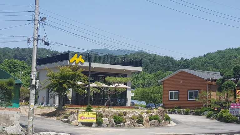 카페숲숲