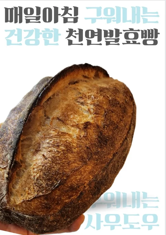 치타 치아바타